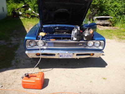 beeincontainer 096.JPG beeincontainer 096.JPG