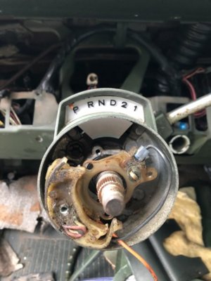 5F38B152-5ECA-480C-A17E-02992FF18589.jpeg 5F38B152-5ECA-480C-A17E-02992FF18589.jpeg