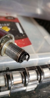 received_490818381421912.jpeg received_490818381421912.jpeg