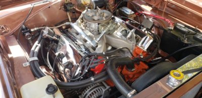 20181014_133928.jpg 20181014_133928.jpg