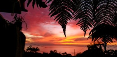 Resized_20181015_180921_1261.jpeg Resized_20181015_180921_1261.jpeg