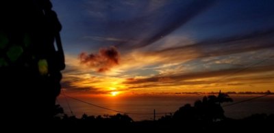 Resized_20181017_175621_4287.jpeg Resized_20181017_175621_4287.jpeg