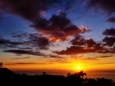 Resized_IMG_20181112_174907_797_7987.jpeg Resized_IMG_20181112_174907_797_7987.jpeg