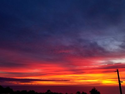 Resized_20181114_175711_4252.jpeg Resized_20181114_175711_4252.jpeg