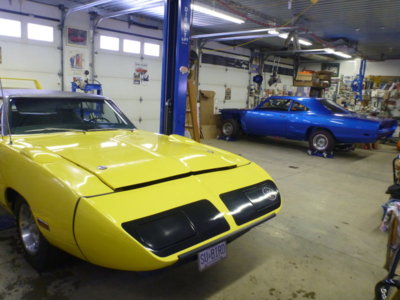 beeandbirdtoshopfall2018 068.JPG