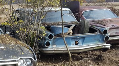 20181105_163844.jpg 20181105_163844.jpg