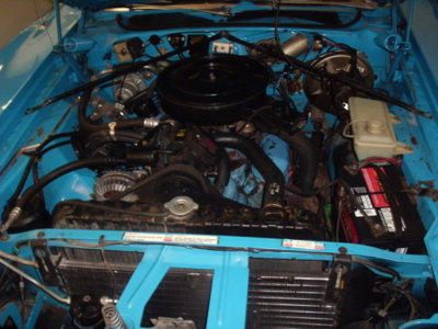 GEDC8414.JPG GEDC8414.JPG