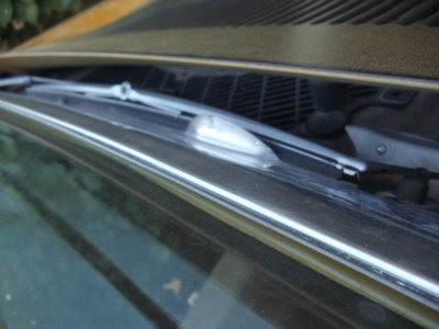 DSC05508.JPG DSC05508.JPG