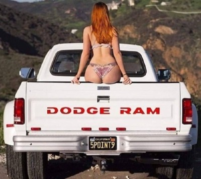 tumblr_picq7dmzFE1rqzedp_500.jpg
