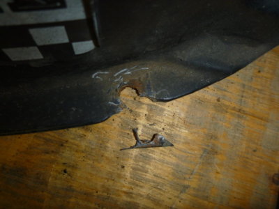 beerestorationfall2018 091.JPG