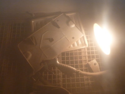 beerestorationfall2018 472.JPG beerestorationfall2018 472.JPG