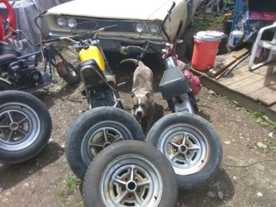 IMG_20180514_143131.jpg IMG_20180514_143131.jpg