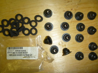 beerestorationfall2018 682.JPG