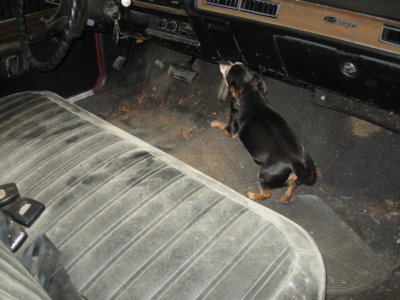 IMG_9141.JPG IMG_9141.JPG