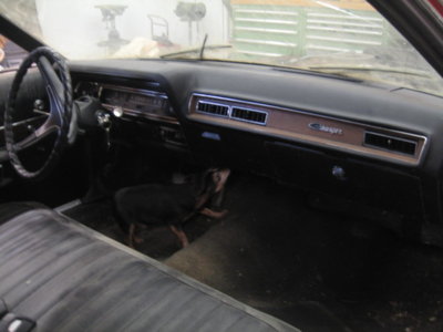 IMG_9144.JPG IMG_9144.JPG