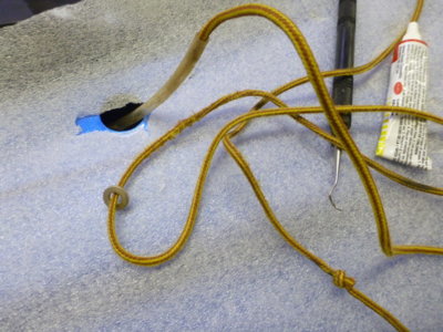 beerestorationfall2018 746.JPG