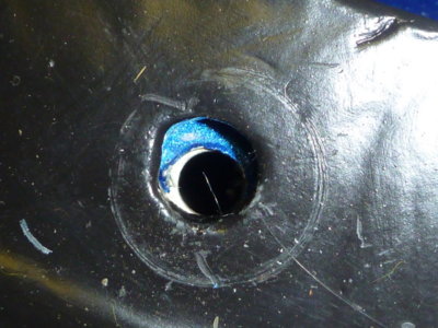 beerestorationfall2018 789.JPG