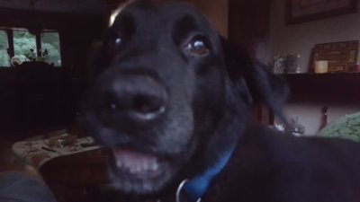 20170821_194046.jpg