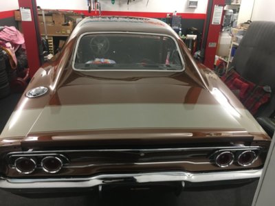 file11.jpeg file11.jpeg