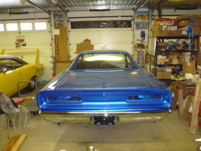 beerestorationfall2018 966.JPG