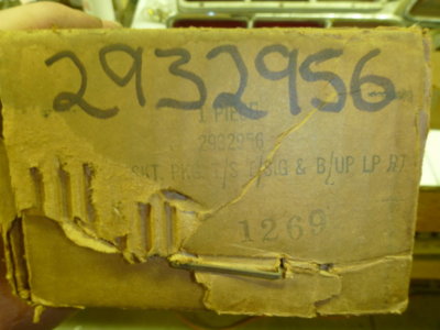 beerestorationfall2018 983.JPG