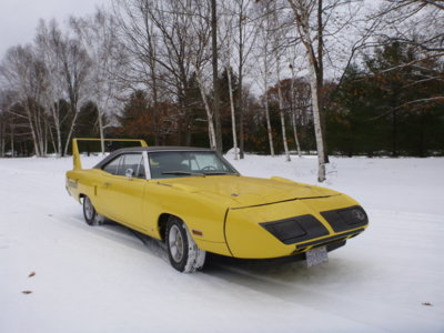 beeandbirdtoshopfall2018 004.JPG beeandbirdtoshopfall2018 004.JPG