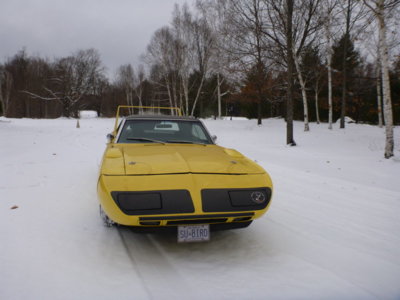 beeandbirdtoshopfall2018 005.JPG beeandbirdtoshopfall2018 005.JPG