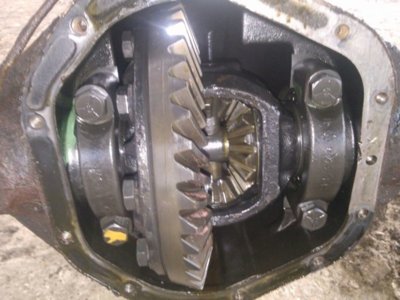 IMG-20161027-WA0008.jpg IMG-20161027-WA0008.jpg