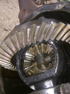 IMG-20161027-WA0009.jpg IMG-20161027-WA0009.jpg