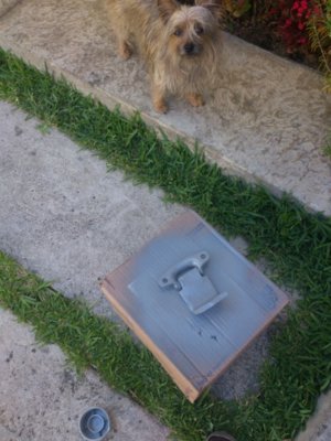 DSC_1432.jpg DSC_1432.jpg