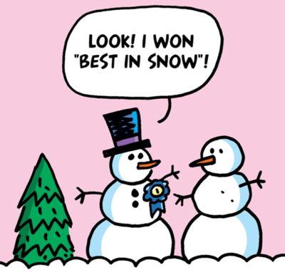 bestinsnow.png