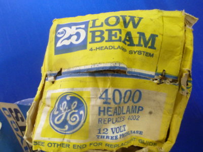 beerestorationfall2018 1050.JPG