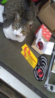 20181212_125254.jpg