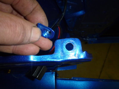 beerestorationfall2018 1268.JPG