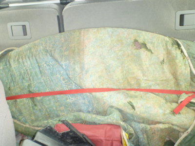 beerestorationfall2018 1283.JPG