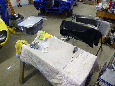 beerestorationfall2018 1342.JPG