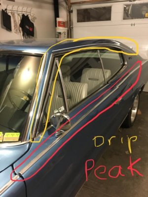 53209E8A-2135-46BE-9745-13640E04F67B.jpeg 53209E8A-2135-46BE-9745-13640E04F67B.jpeg