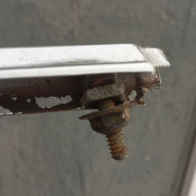 3C2C34E7-FDF6-40DE-9236-23EF58103AC6.jpeg 3C2C34E7-FDF6-40DE-9236-23EF58103AC6.jpeg