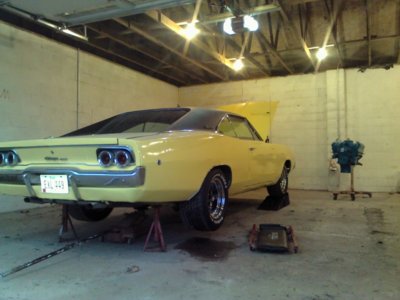 IMG_0381.JPG IMG_0381.JPG