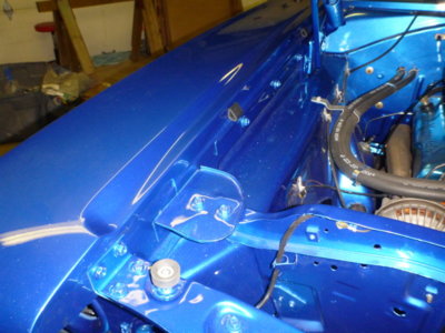 beerestorationfall2018 1549.JPG