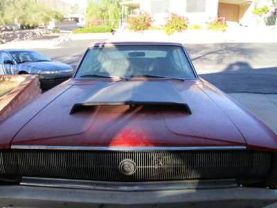 IMG_0019.JPG IMG_0019.JPG