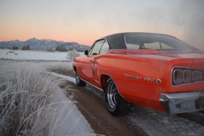 DSC_0226.jpg DSC_0226.jpg