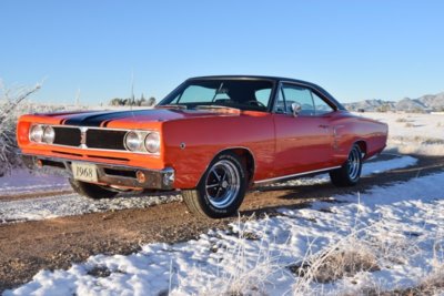 DSC_0239.jpg DSC_0239.jpg