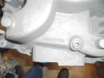 DSC08148.JPG