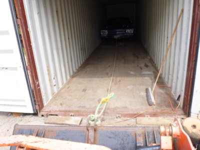 beeincontainer 061.JPG