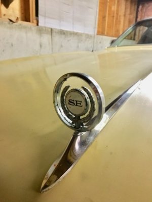 F7E55677-5EA8-473C-98BB-EADDEAB83A41.jpeg F7E55677-5EA8-473C-98BB-EADDEAB83A41.jpeg