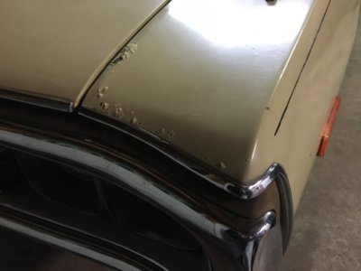 BE347FE6-87C9-45AE-85C7-FE640ED1B15C.jpeg BE347FE6-87C9-45AE-85C7-FE640ED1B15C.jpeg