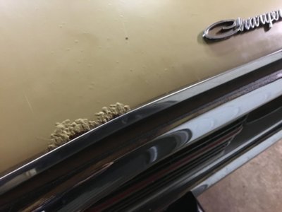 4B14C4D3-F193-4D39-8FB9-AB7EA3CD9622.jpeg 4B14C4D3-F193-4D39-8FB9-AB7EA3CD9622.jpeg