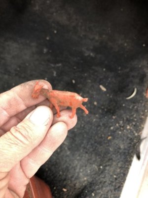 EEA74082-8413-45EB-8E02-5382A29AB969.jpeg EEA74082-8413-45EB-8E02-5382A29AB969.jpeg