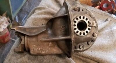 489 Pumpkin.jpg 489 Pumpkin.jpg